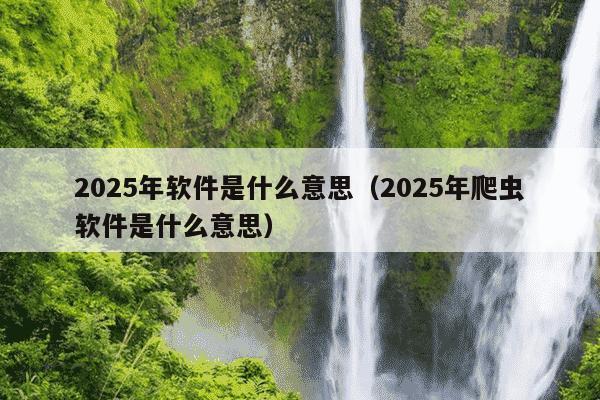 2025年软件是什么意思（2025年爬虫软件是什么意思）