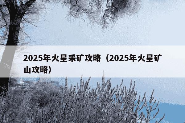 2025年火星采矿攻略(2025年火星矿山攻略)