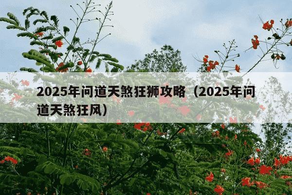 2025年问道天煞狂狮攻略(2025年问道天煞狂风)