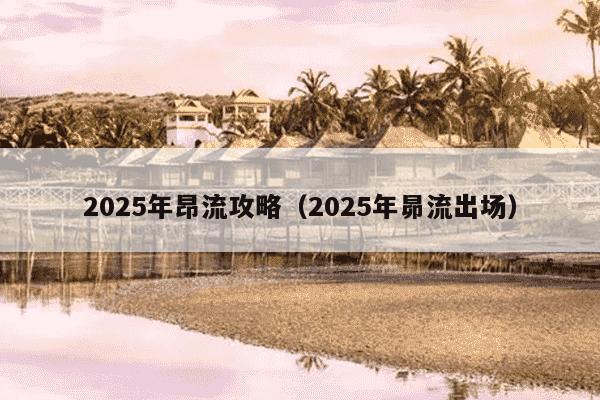 2025年昂流攻略（2025年昴流出场）