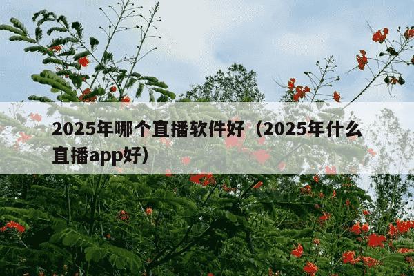 2025年哪个直播软件好（2025年什么直播app好）