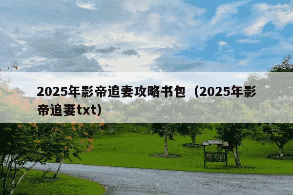 2025年影帝追妻攻略书包（2025年影帝追妻txt）