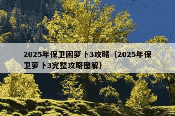 2025年保卫困萝卜3攻略（2025年保卫萝卜3完整攻略图解）