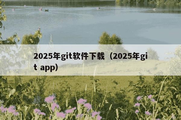 2025年git软件下载(2025年git app)