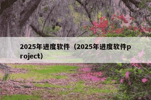 2025年进度软件(2025年进度软件project)