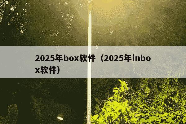2025年box软件(2025年inbox软件)