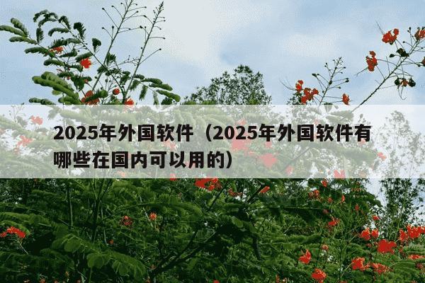 2025年外国软件（2025年外国软件有哪些在国内可以用的）