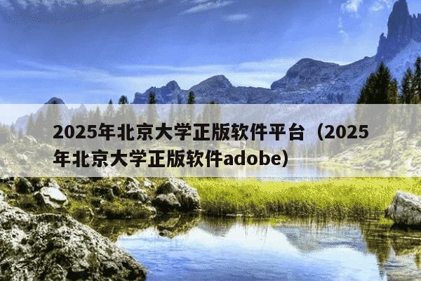2025年北京大学正版软件平台（2025年北京大学正版软件adobe）