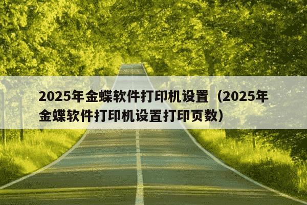 2025年金蝶软件打印机设置（2025年金蝶软件打印机设置打印页数）