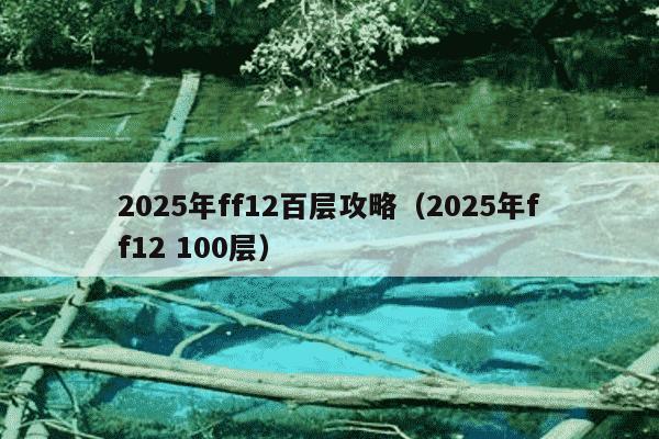 2025年ff12百层攻略(2025年ff12 100层)