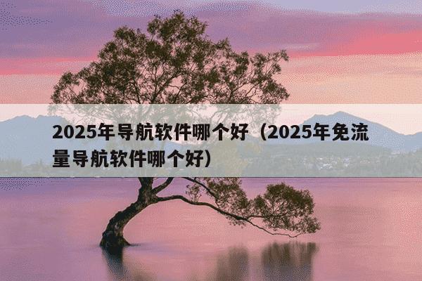 2025年导航软件哪个好（2025年免流量导航软件哪个好）