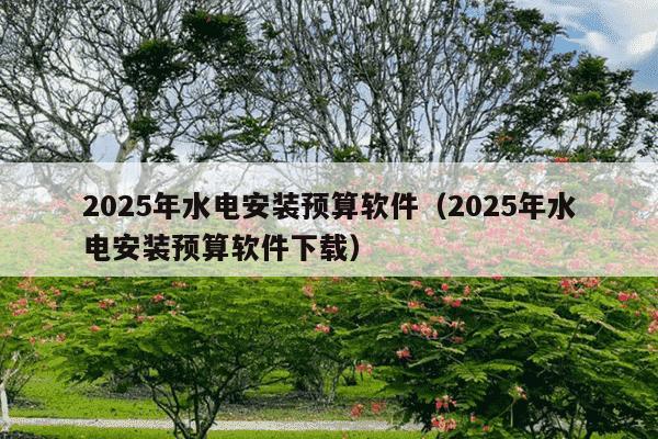 2025年水电安装预算软件（2025年水电安装预算软件下载）