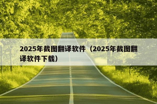 2025年截图翻译软件（2025年截图翻译软件下载）