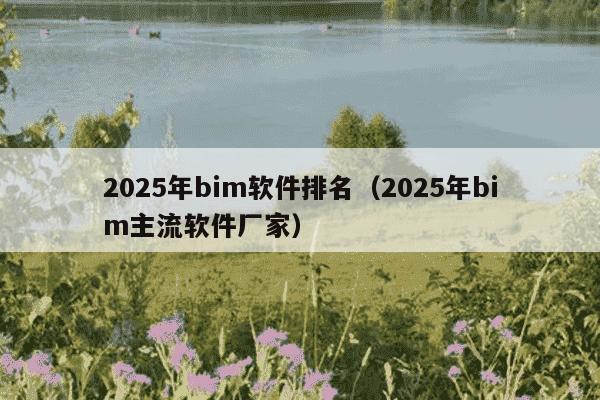 2025年bim软件排名（2025年bim主流软件厂家）
