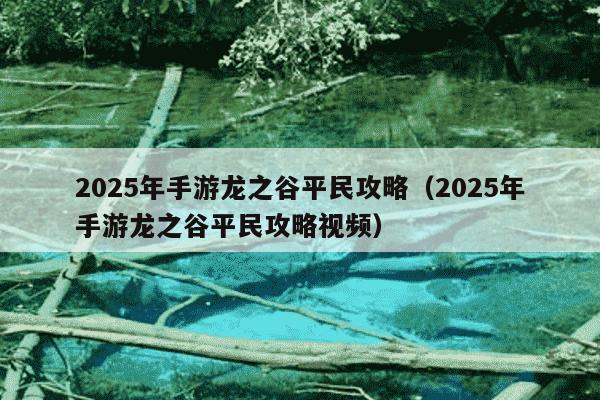 2025年手游龙之谷平民攻略（2025年手游龙之谷平民攻略视频）