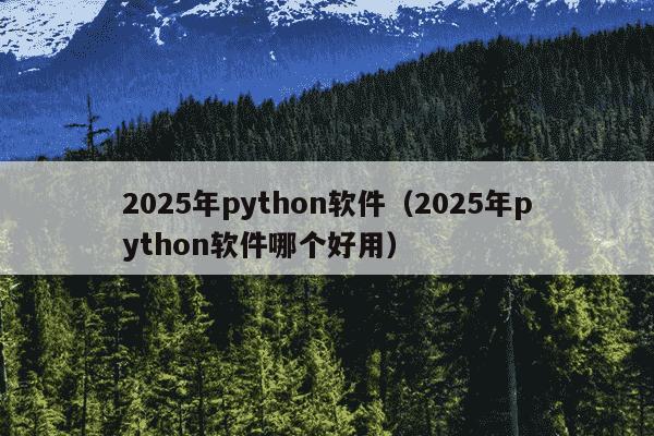2025年python软件（2025年python软件哪个好用）