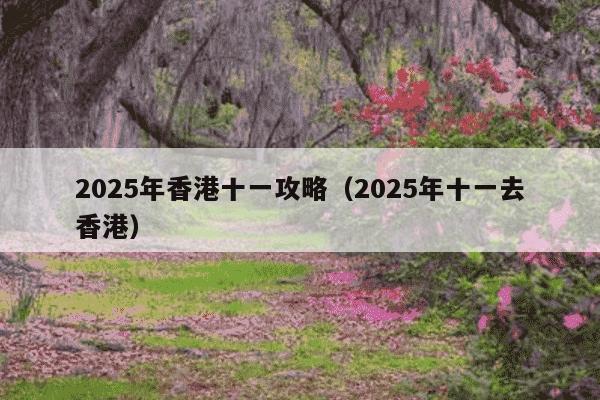 2025年香港十一攻略（2025年十一去香港）