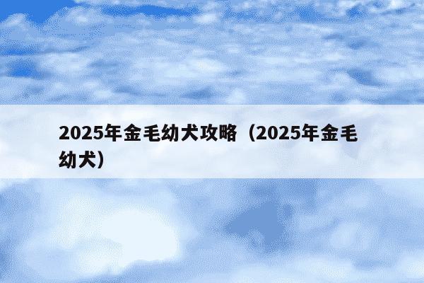 2025年金毛幼犬攻略（2025年金毛 幼犬）