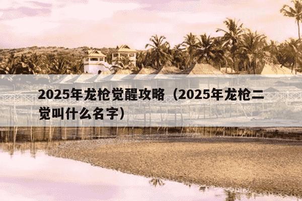 2025年龙枪觉醒攻略（2025年龙枪二觉叫什么名字）