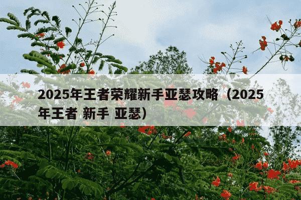 2025年王者荣耀新手亚瑟攻略（2025年王者 新手 亚瑟）