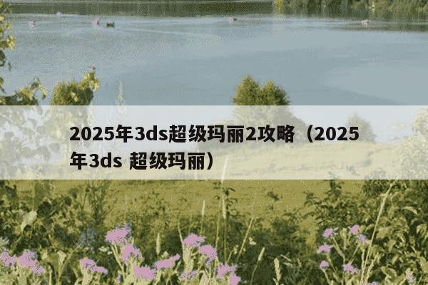 2025年3ds超级玛丽2攻略(2025年3ds 超级玛丽)