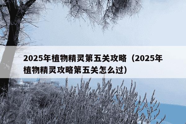 2025年植物精灵第五关攻略（2025年植物精灵攻略第五关怎么过）
