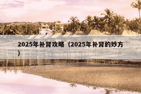2025年补肾攻略（2025年补肾的妙方）