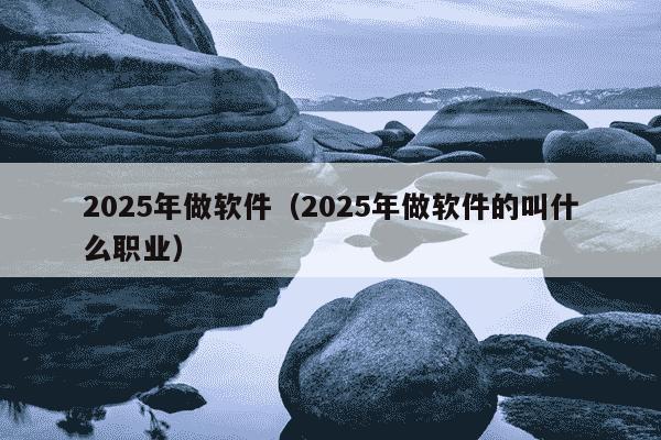 2025年做软件（2025年做软件的叫什么职业）