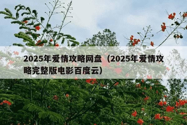 2025年爱情攻略网盘(2025年爱情攻略完整版电影百度云)