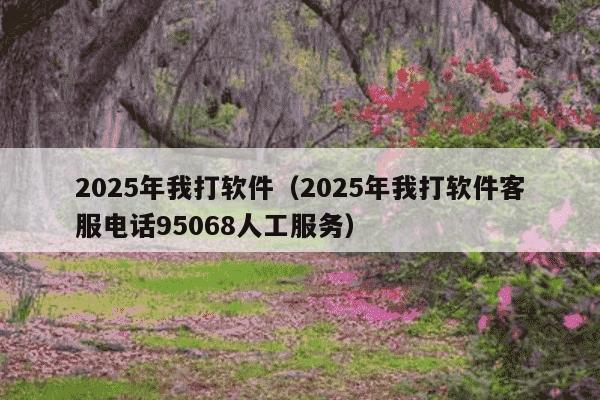 2025年我打软件(2025年我打软件客服电话95068人工服务)