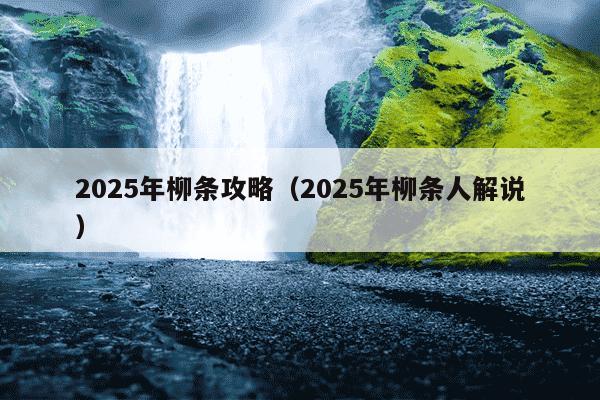 2025年柳条攻略(2025年柳条人解说)