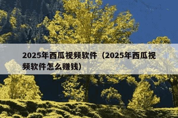 2025年西瓜视频软件(2025年西瓜视频软件怎么赚钱)
