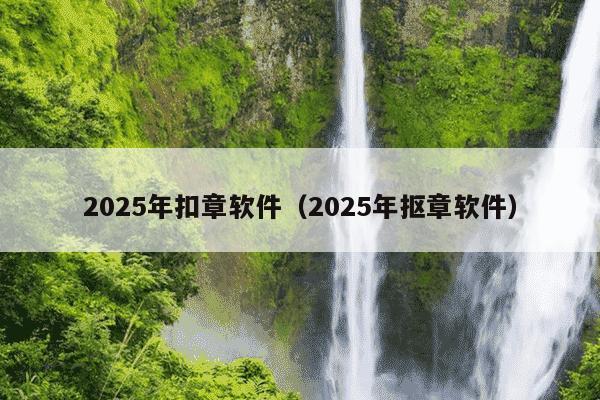 2025年扣章软件（2025年抠章软件）