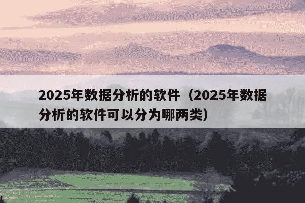 2025年数据分析的软件(2025年数据分析的软件可以分为哪两类)