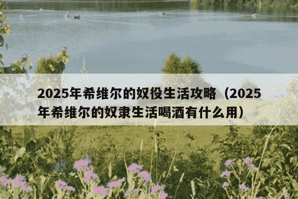 2025年希维尔的奴役生活攻略(2025年希维尔的奴隶生活喝酒有什么用)