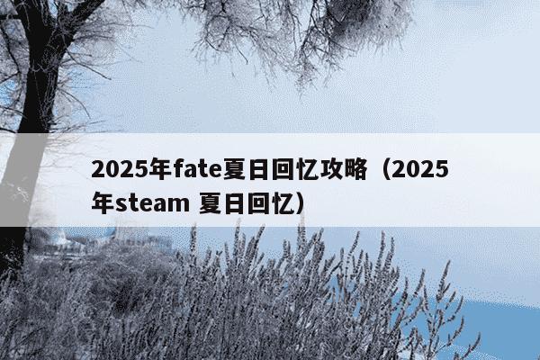 2025年fate夏日回忆攻略（2025年steam 夏日回忆）