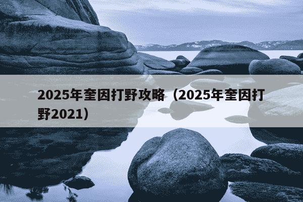 2025年奎因打野攻略(2025年奎因打野2021)