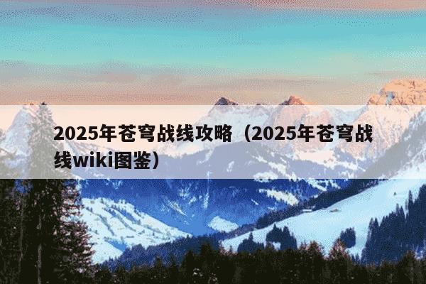 2025年苍穹战线攻略（2025年苍穹战线wiki图鉴）