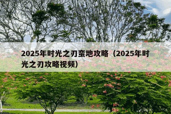 2025年时光之刃蛮地攻略(2025年时光之刃攻略视频)