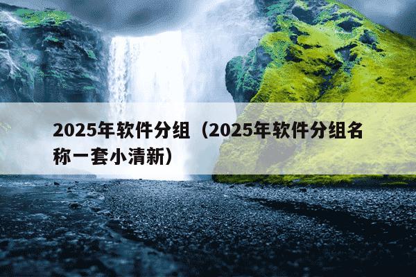 2025年软件分组(2025年软件分组名称一套小清新)