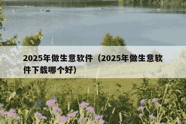 2025年做生意软件(2025年做生意软件下载哪个好)