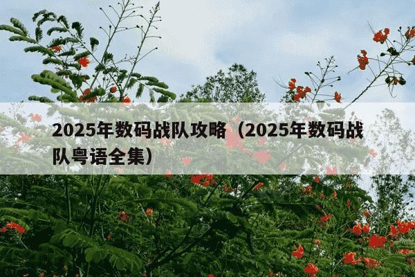 2025年数码战队攻略（2025年数码战队粤语全集）