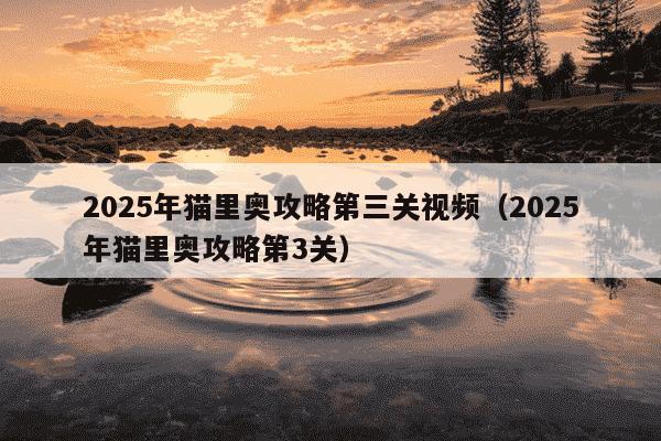 2025年猫里奥攻略第三关视频（2025年猫里奥攻略第3关）