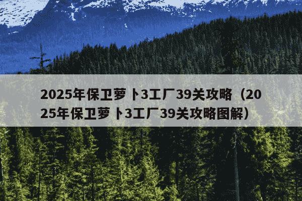 2025年保卫萝卜3工厂39关攻略（2025年保卫萝卜3工厂39关攻略图解）