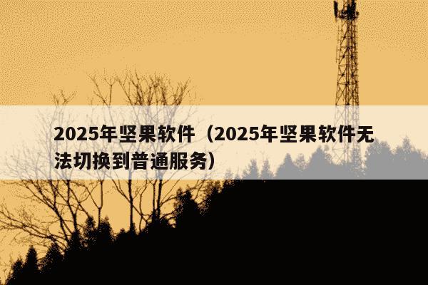 2025年坚果软件（2025年坚果软件无法切换到普通服务）