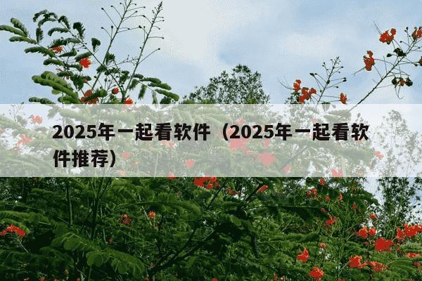 2025年一起看软件（2025年一起看软件推荐）