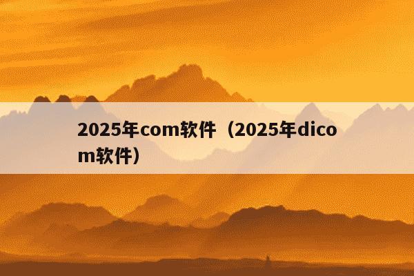 2025年com软件(2025年dicom软件)