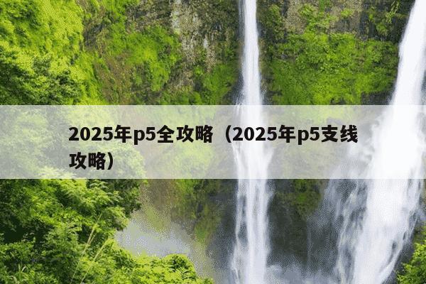 2025年p5全攻略（2025年p5支线攻略）