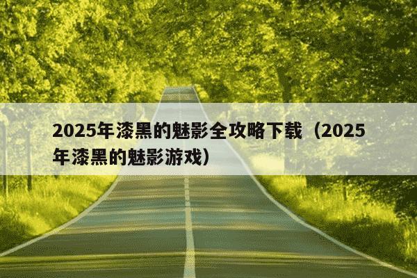 2025年漆黑的魅影全攻略下载（2025年漆黑的魅影游戏）