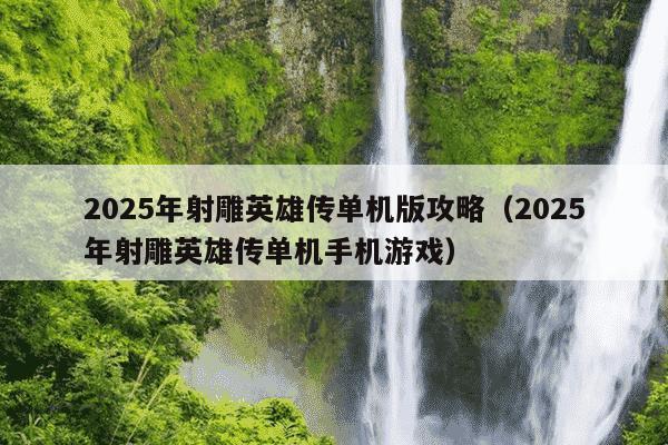 2025年射雕英雄传单机版攻略(2025年射雕英雄传单机手机游戏)